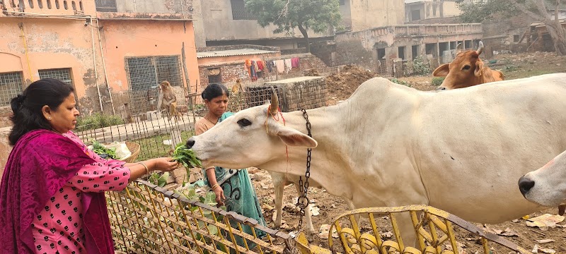 Shree Krishna Bhakti Ashram - Shree Krishna Bhakti Ashram Bhaktivedanta Swami Marg, Raman Reiti, Vrindavan, Uttar Pradesh 281121, India