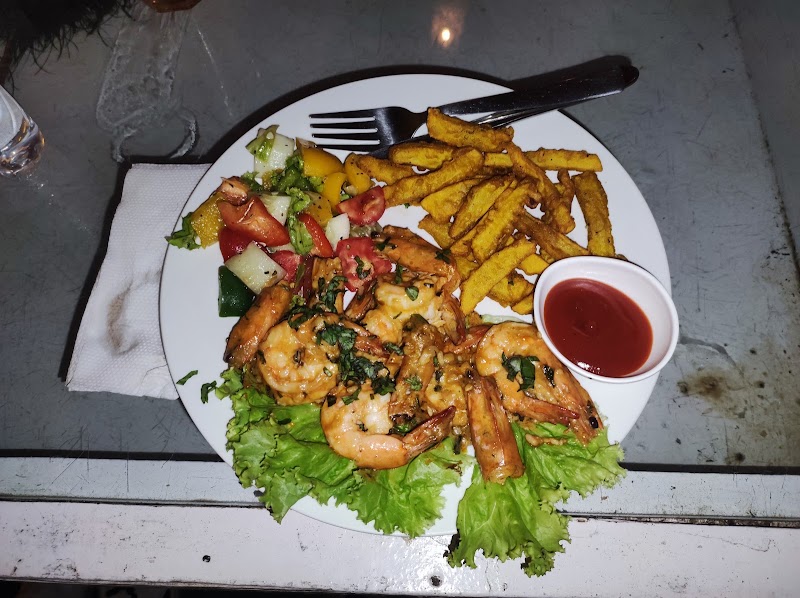 Plant Cafe - Plant Cafe Morjim Beach Road, Morjim, Goa 403512, India