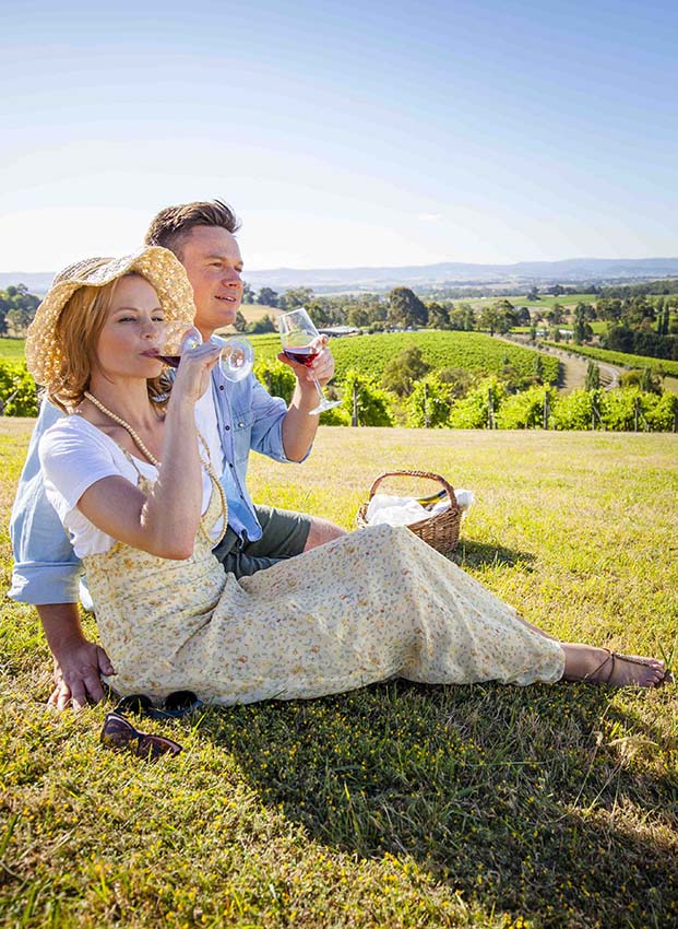 Yarra Valley Winery Tours - Yarra Valley Winery Tours, 17 Hightech Pl, Lilydale VIC 3140, Australia
