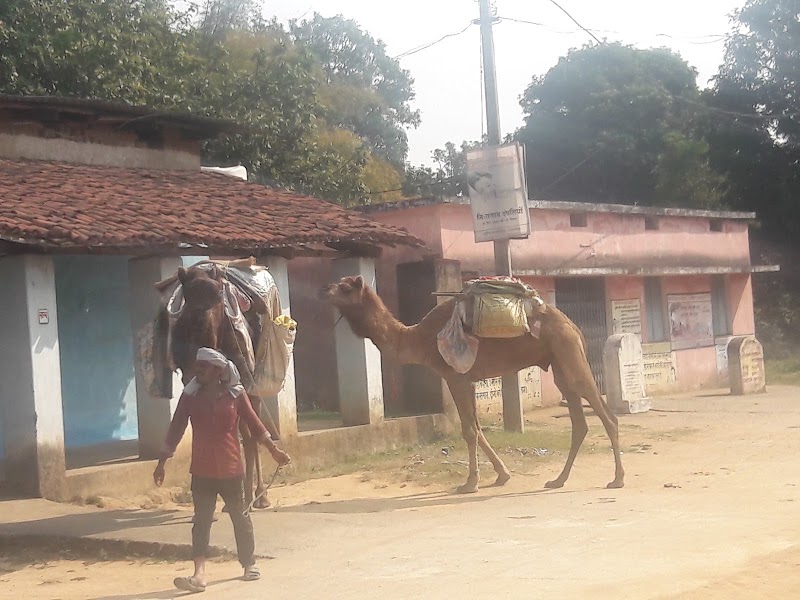 Gram Panchayat Bhothali - Gram Panchayat Bhothali, PJRG+GVG, Sankra, Chhattisgarh 493773, India