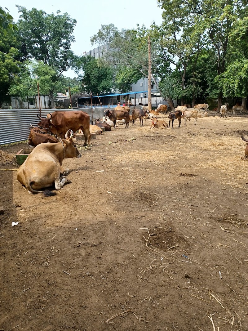 P R Goshala - P R Goshala, Goshala chowk, PF4J+6J9, near BED collage, Balangir, Odisha 767001, India