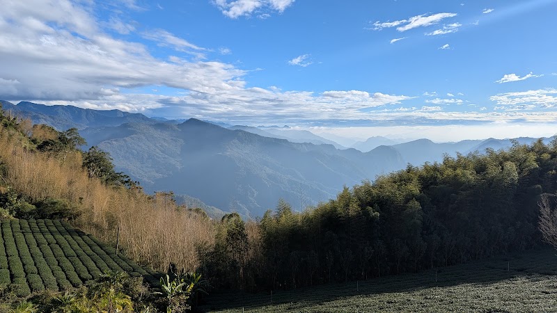 Mist Trail - Mist Trail 604, Taiwan, Chiayi County, Zhuqi Township, 16
