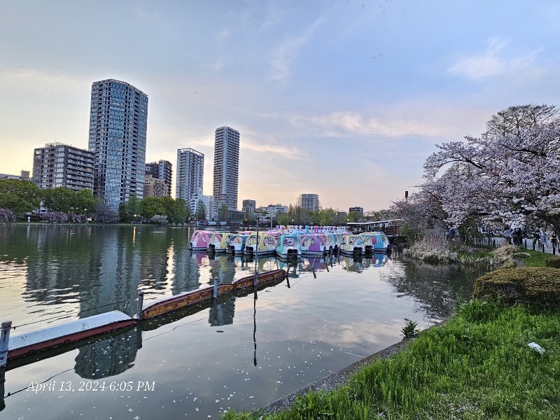 Ueno Park - Ueno Park 5-20 Uenokōen, Taito City, Tokyo 110-0007, Japan