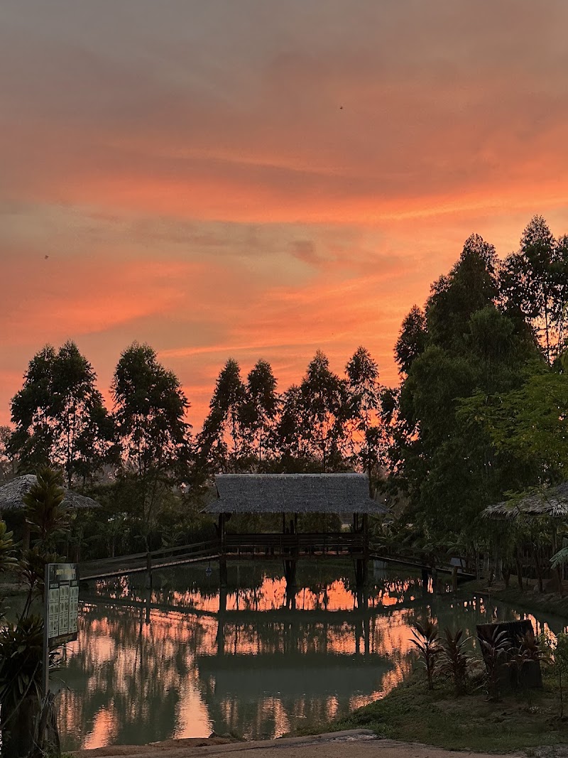 Phuket Elephant care Sanctuary - Phuket Elephant care Sanctuary 3 หาดในทอน 5, Tambon Sa Khu, Amphoe Thalang, Chang Wat Phuket 83110, Thailand
