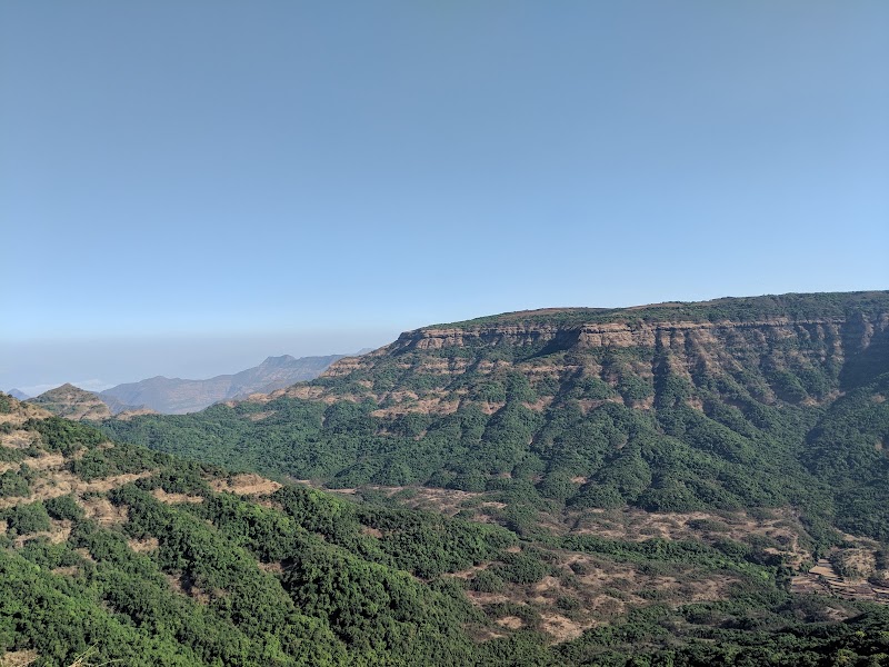 Forest of Old Mahbaleshwar
