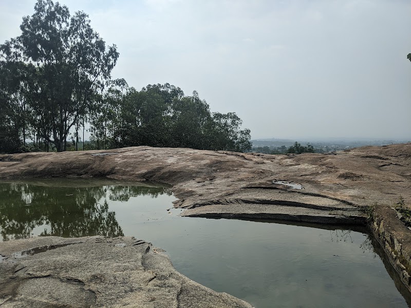 Turahalli Forest - Turahalli Forest 100 Feet Rd, Thurahalli, Bengaluru, Karnataka 560109, India
