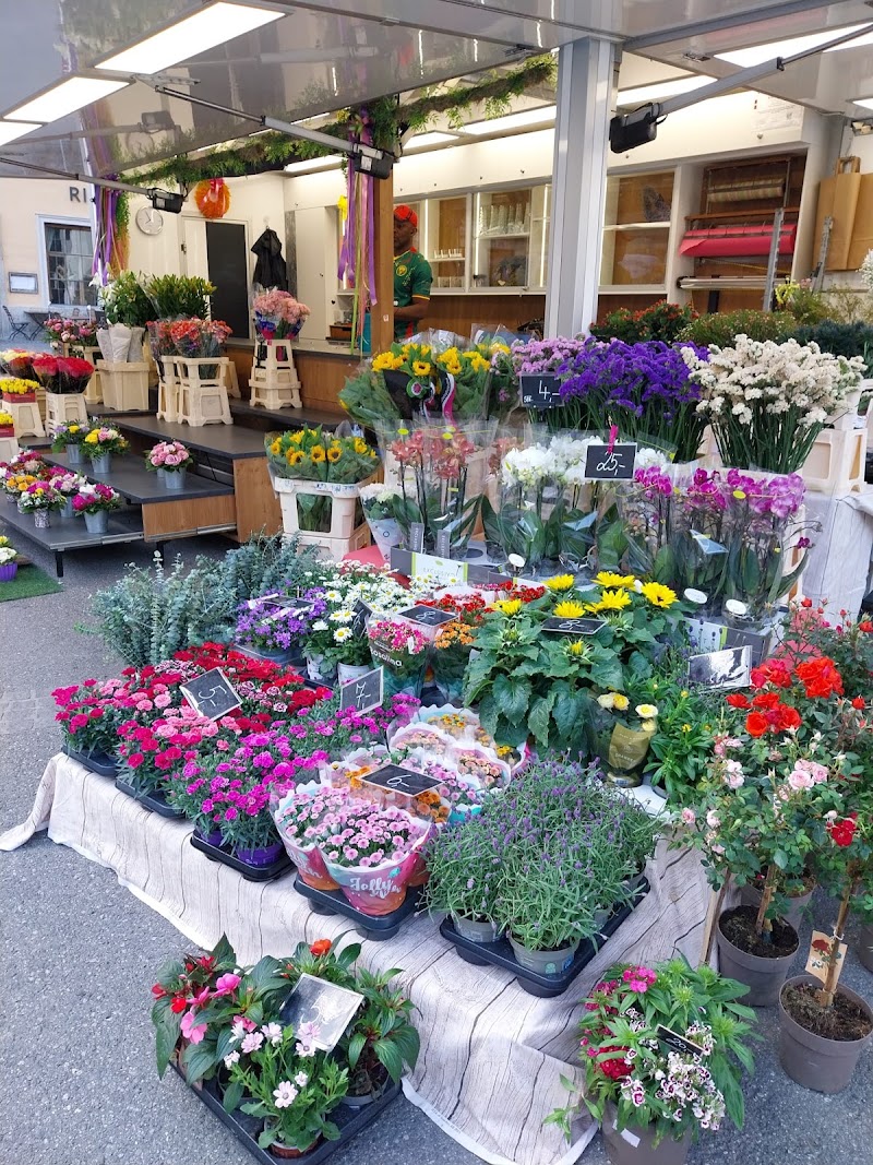 Blumen Sappi - Blumen Sappi Grünmarkt vor der Kirche, Universitätspl., 5020 Salzburg, Austria