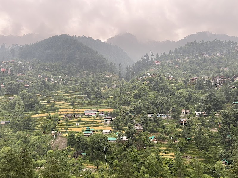 Pineroots Cafe - Pineroots Cafe Pineroots Cafe, 224/1, Po, Sar, Jibhi, Himachal Pradesh 175123, India