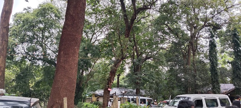 Wanderers cafe - Wanderers cafe, 7G7Q+9GW, SH 34, Khodli, Ambeli, Karnataka 581365, India