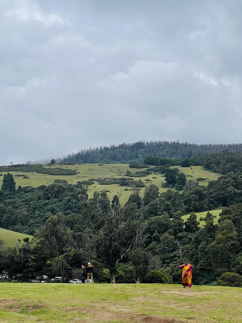 Ooty Tourism - Ooty Tourism Ooty Tourism, CM7R+822, Kandal Main Bazaar St, Kandal, Ooty, Tamil Nadu 643001, India