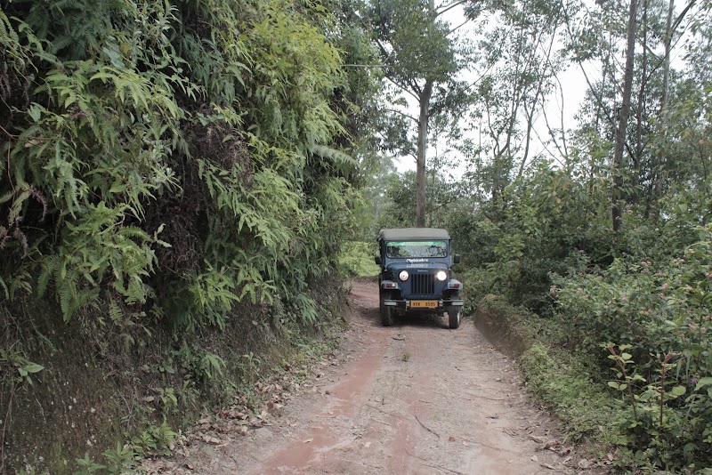 Munnar Jeep Safari - Munnar Jeep Safari Amazing munnar,Panchayat hospital road,moolakada jn, near KSRTC bus depot, Moolakadai, Munnar, Kerala 685612, India