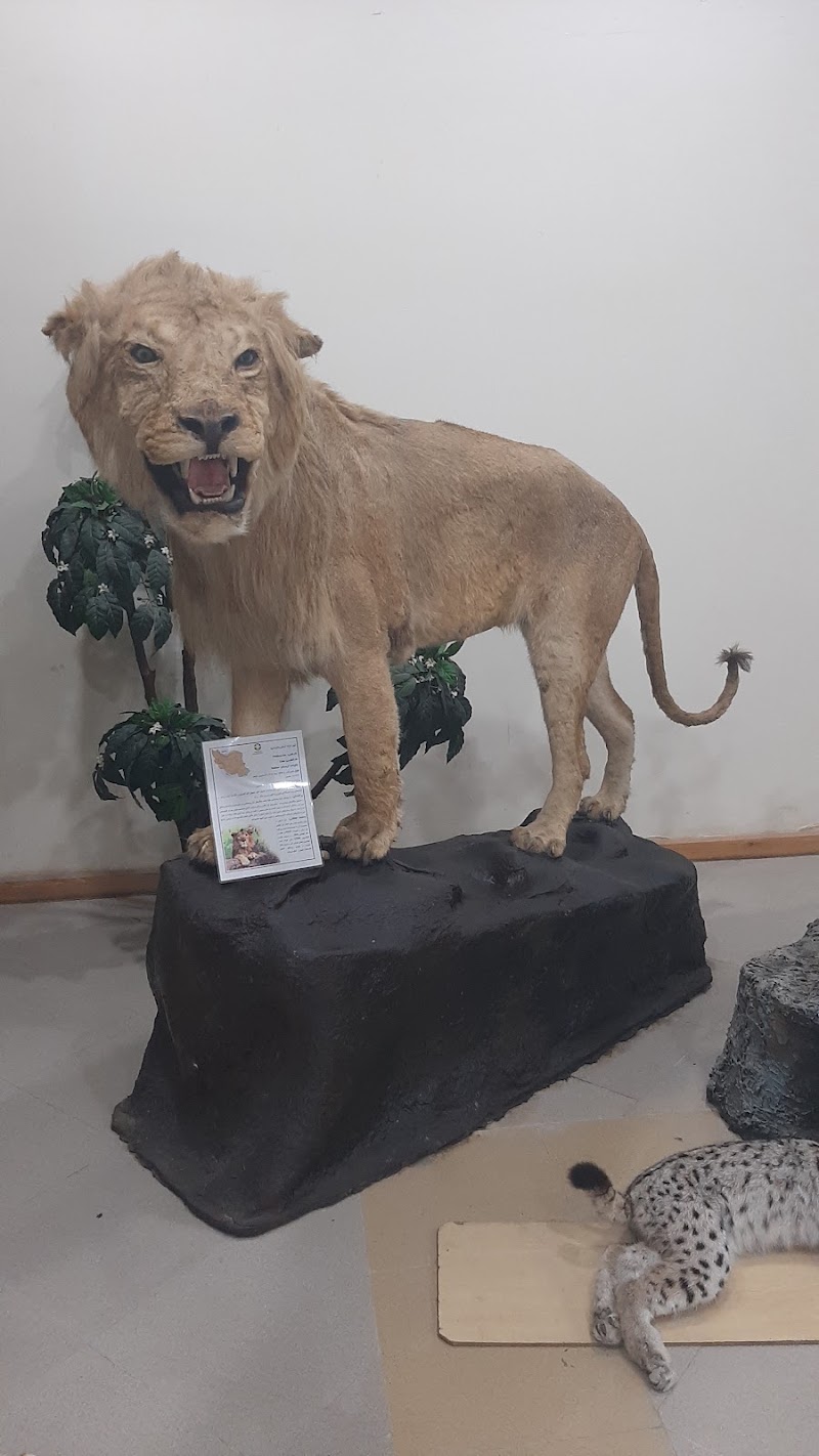 Wildlife Museum - Wildlife Museum, 678W+G24, Ardabil, Ardabil Province, Iran