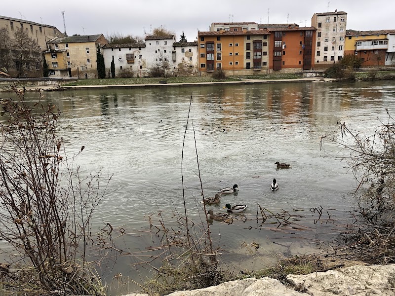 Miranda de Ebro - Miranda de Ebro, Burgos, Spain