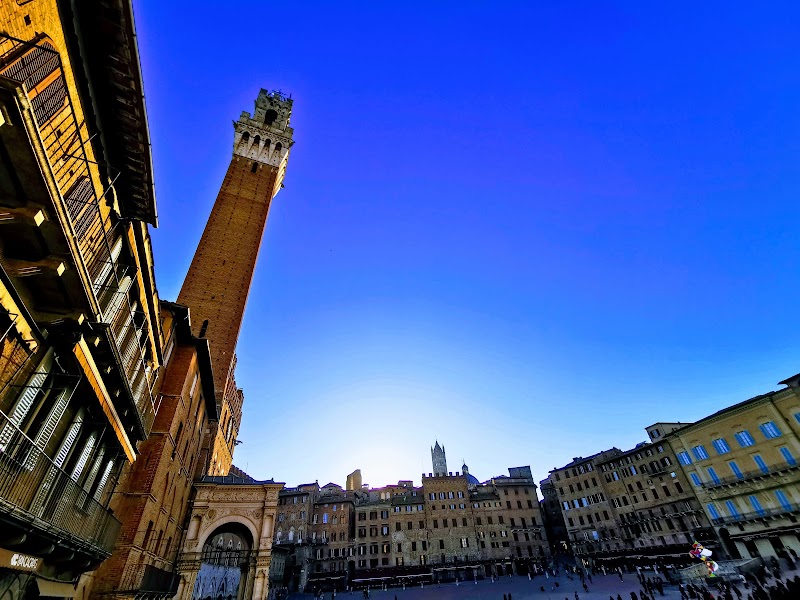 Il Campo - Il Campo, 53100 Siena SI, Italy