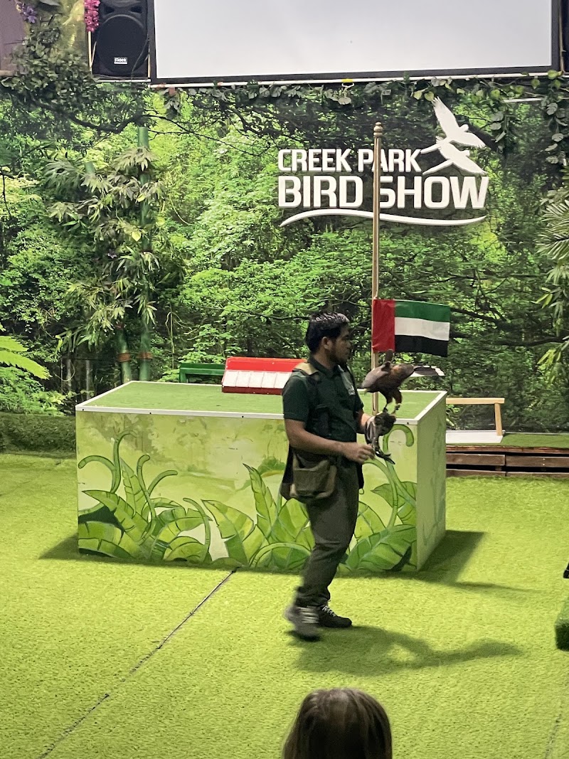 Dubai Dolphinarium - Dubai Dolphinarium Riyadh Street, Inside the Creek Park Gate 1 - Dubai Dolphinarium Building - Dubai Dolphinarium Building - Street - أم هرير الثانية - دبي - United Arab Emirates