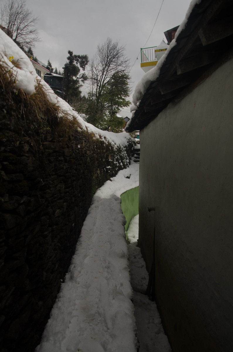 Vashisht House - Vashisht House Upper, Bhagsu Nag, Haini, Dharamshala, Himachal Pradesh 176216, India