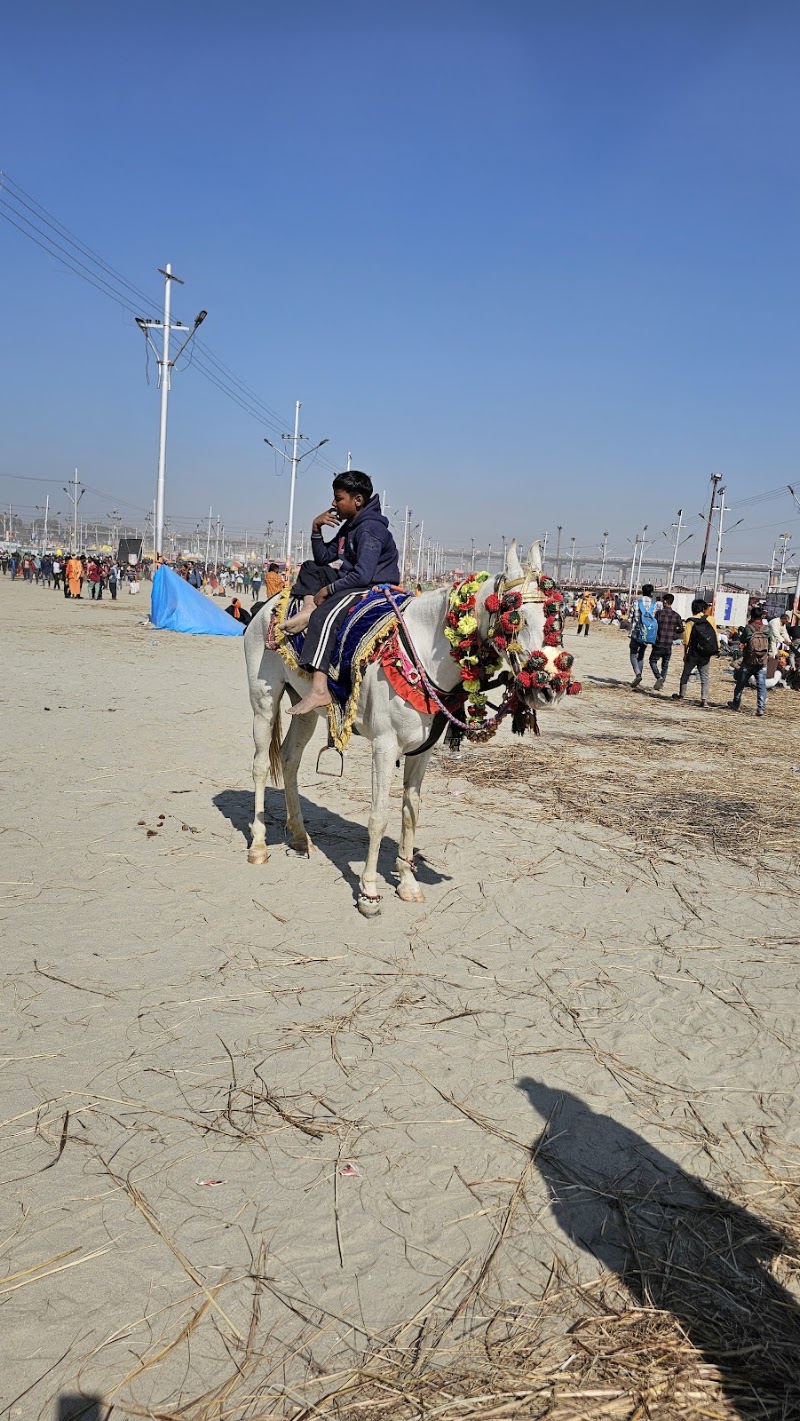 Sangam Ghat Prayagraj - Sangam Ghat Prayagraj CVHP+J26, Prayagraj, Uttar Pradesh 211006, India