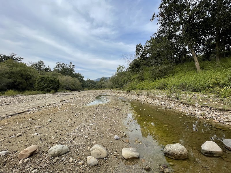 Jim Corbett National Park - Jim Corbett National Park Uttarakhand, India