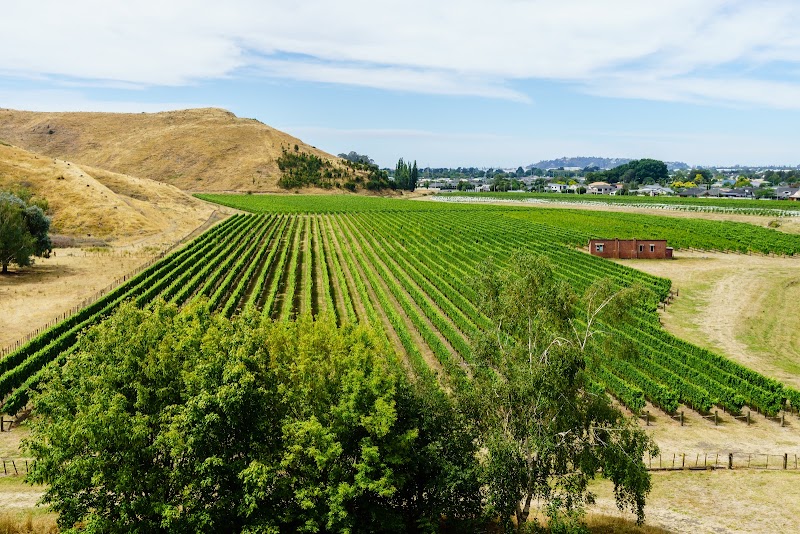 Mission Estate Winery - Mission Estate Winery, 198 Church Road, Poraiti, Napier 4112, New Zealand