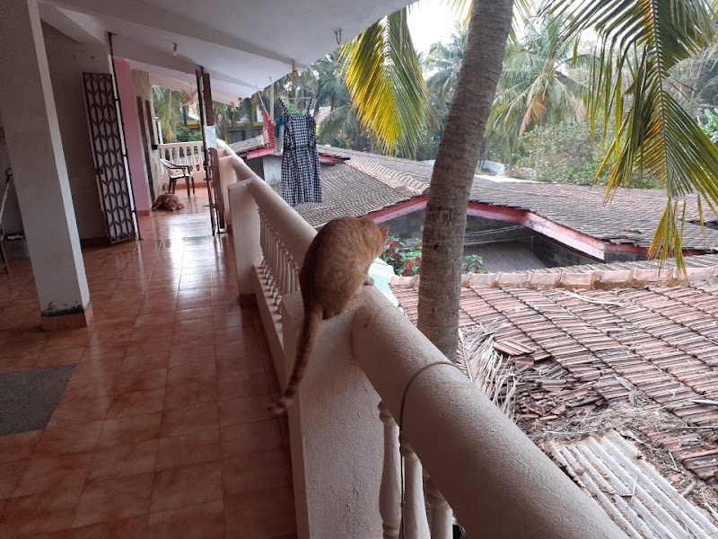 Hill View - Hill View, Dmello Vaddo, Anjuna, Goa 403509, India
