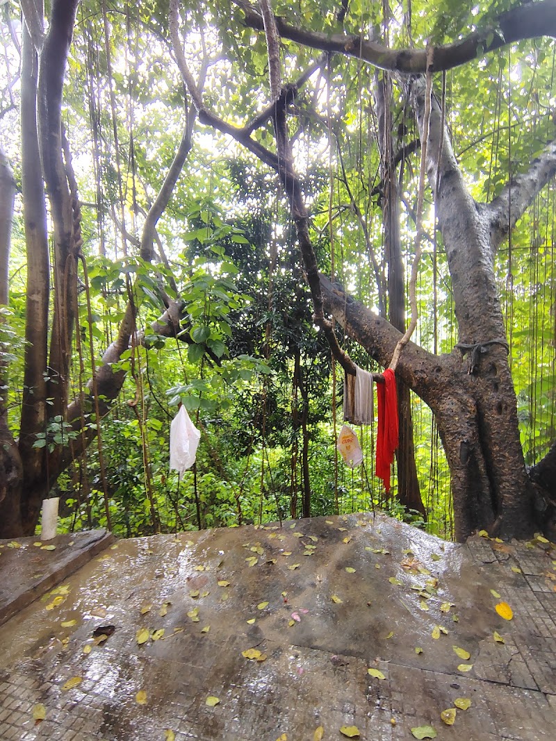 Deotsidh, Hamirpur, Himachal Pradesh, India - Deotsidh, Hamirpur, Himachal Pradesh, India, FG3V+JFR, Sidh Baba Balaknath Mandir Complex, Deotsidh, Himachal Pradesh 176039, India