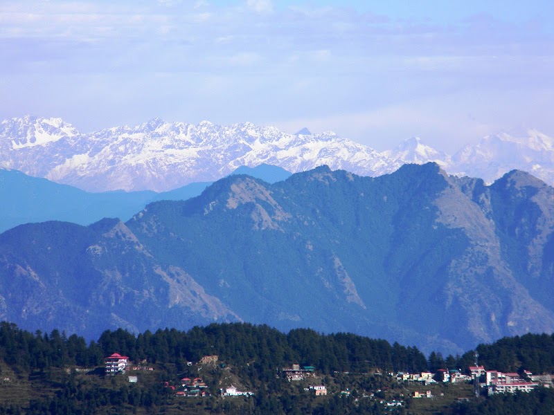 Hotel Royal Residency - best hotel in dhanaulti - Hotel Royal Residency - best hotel in dhanaulti Main Road Dhanaulti Dist.:, New Tehri, Dhanolti, Uttarakhand 249180, India