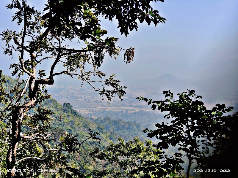 Saal and pine forest - Saal and pine forest F79G+864, Birjiatoli, Jharkhand 835218, India