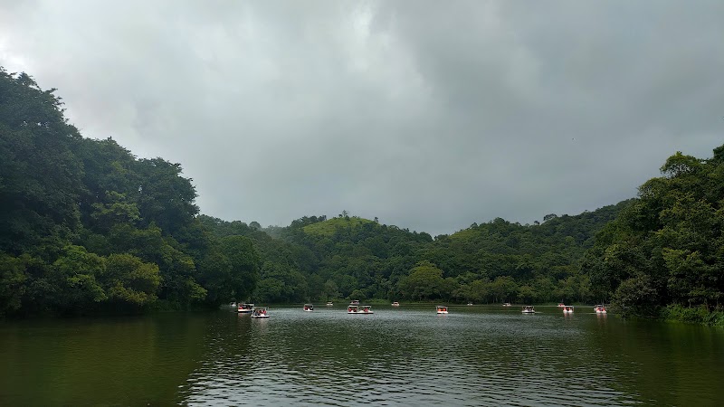 Pookode Lake