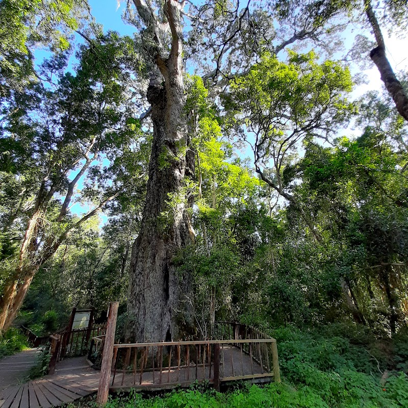 Garden Route National Park - Garden Route National Park, South Africa