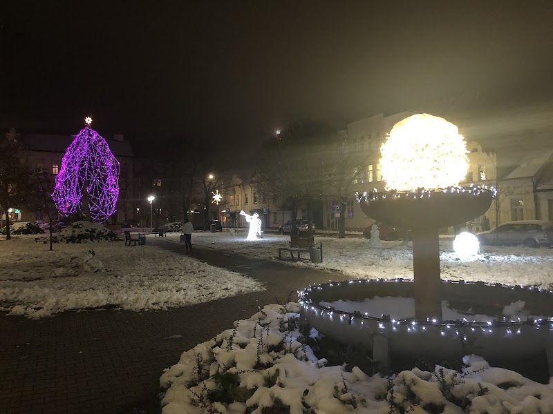 Parkoviště Náměstí T. G. Masaryka - Parkoviště Náměstí T. G. Masaryka, 534 01 Holice-Holice v Čechách, Czechia