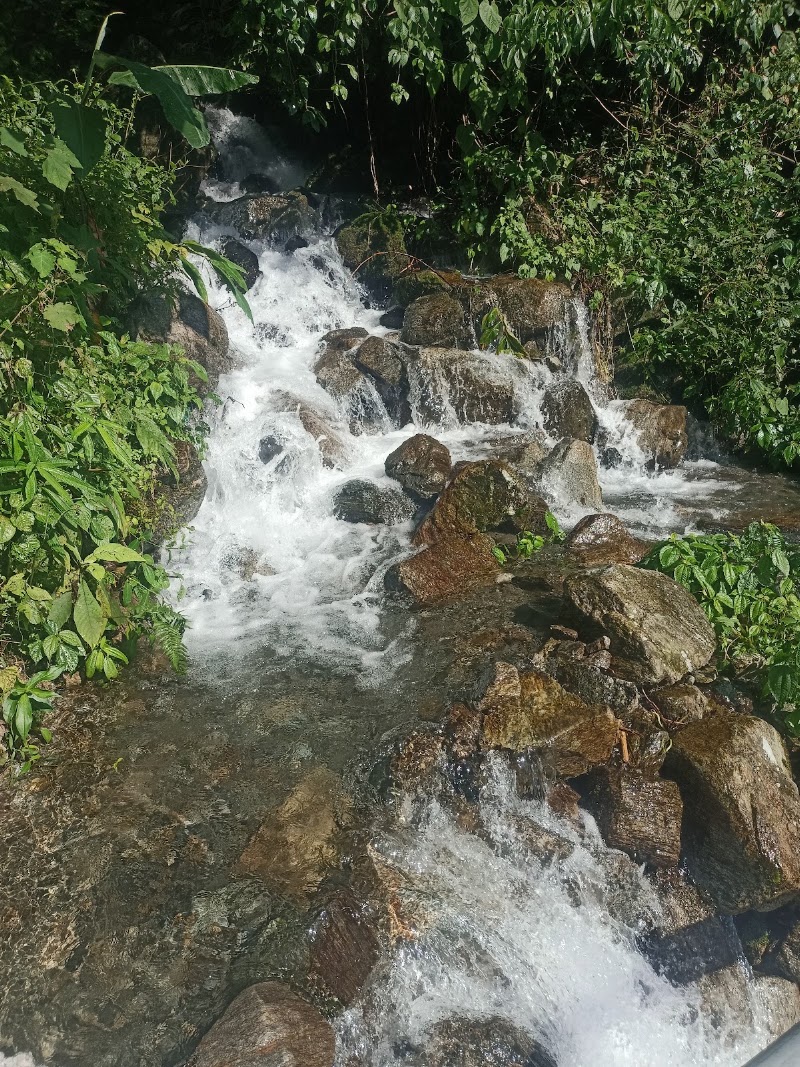 Roing - Roing, Arunachal Pradesh 792110, India