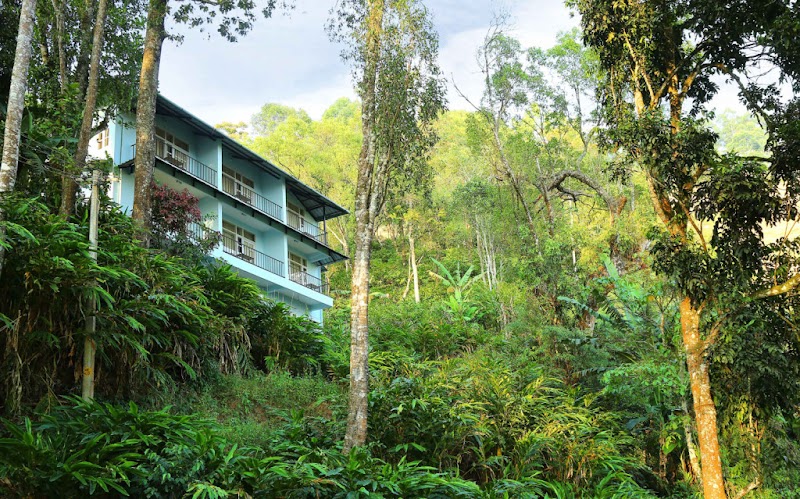 Eagle Mountain Resort - Eagle Mountain Resort, Headworks Dam - 20 Acer Road pothamedu, ottamaram, Munnar, Keralam 685565, India