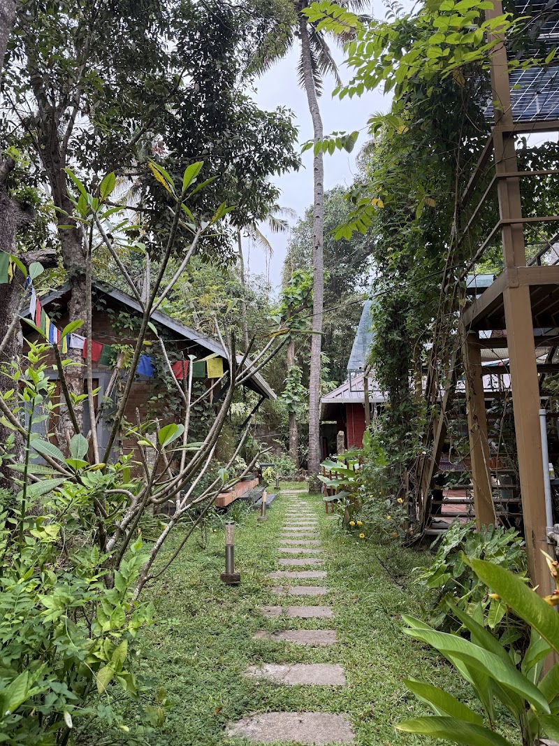 Happy Turtles Wellness & Retreats (Warm Water Therapy & Homestay) - Happy Turtles Wellness & Retreats (Warm Water Therapy & Homestay) Kavuvila, Janardhanapuram, South Cliff, Varkala, Kerala 695141, India