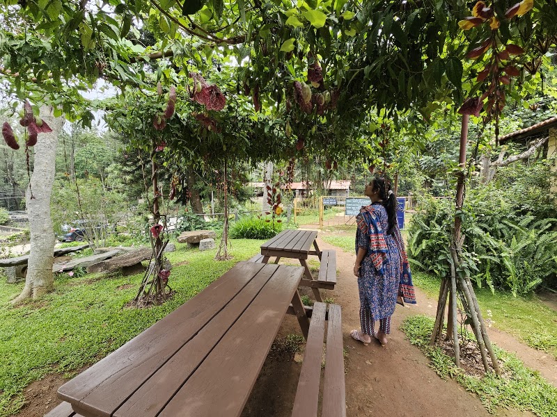 Cauvery Peak Estate - Cauvery Peak Estate, S Narthenchedu, Tamil Nadu 636602