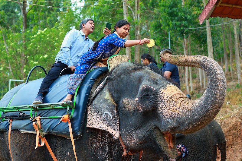 Munnar Tourist Places - Munnar Tourist Places Factory Division, Pallivasal, Estate, Munnar, Pallivasal, Kerala 685565, India