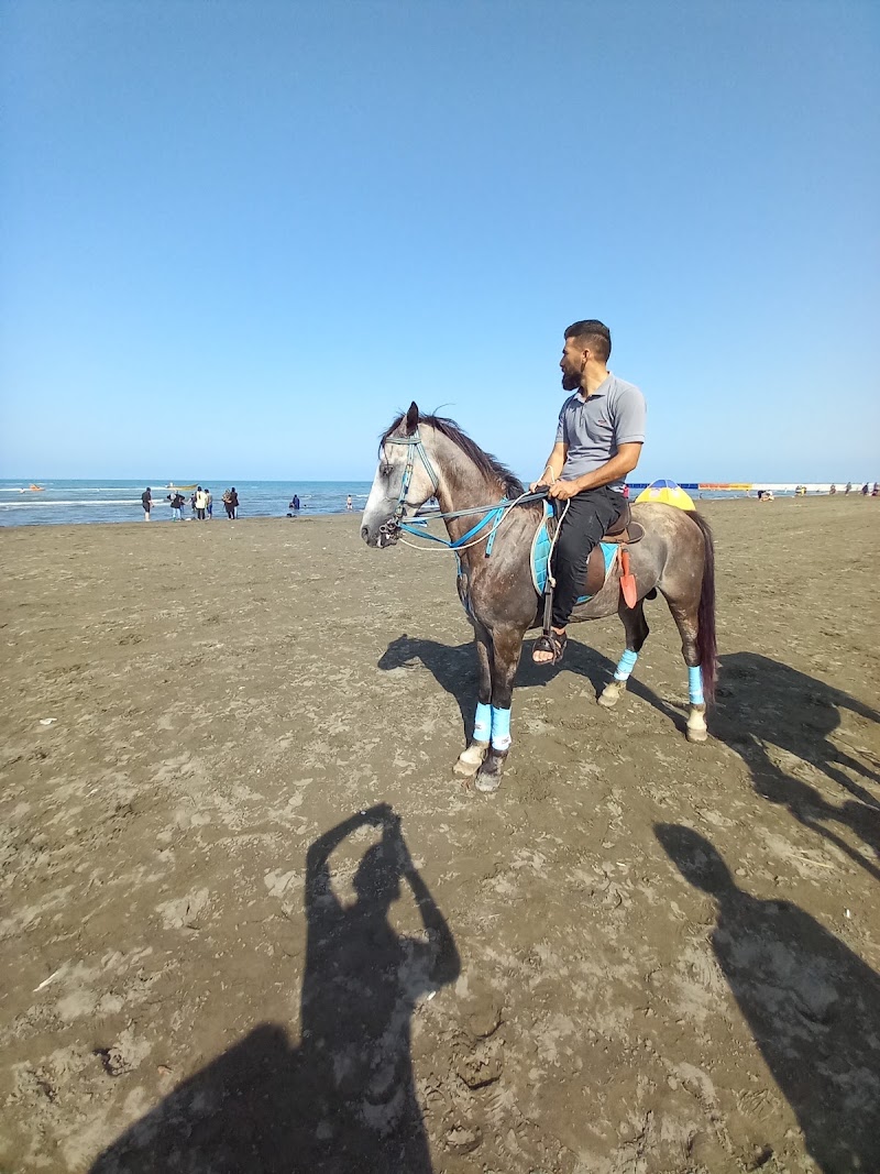 Gisum Beach - Gisum Beach, Gisoum Beach Rd, Iran