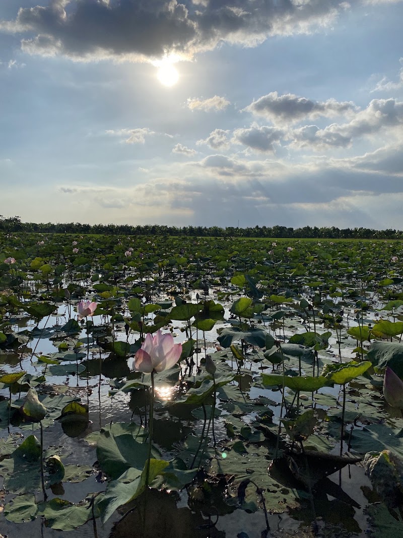 Mekong Realism - Mekong Realism, 88/15 Đ. Đề Thám, Ninh Kiều, Cần Thơ, Vietnam