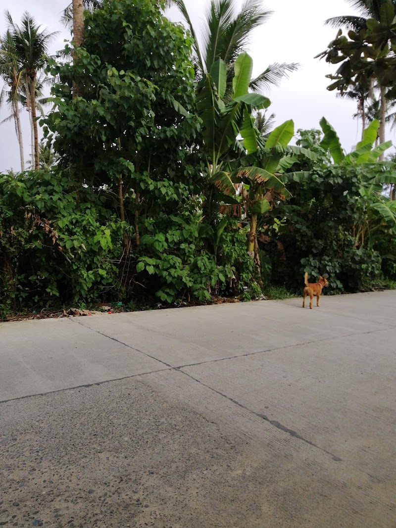 Catangnan - Catangnan, General Luna, Surigao del Norte, Philippines