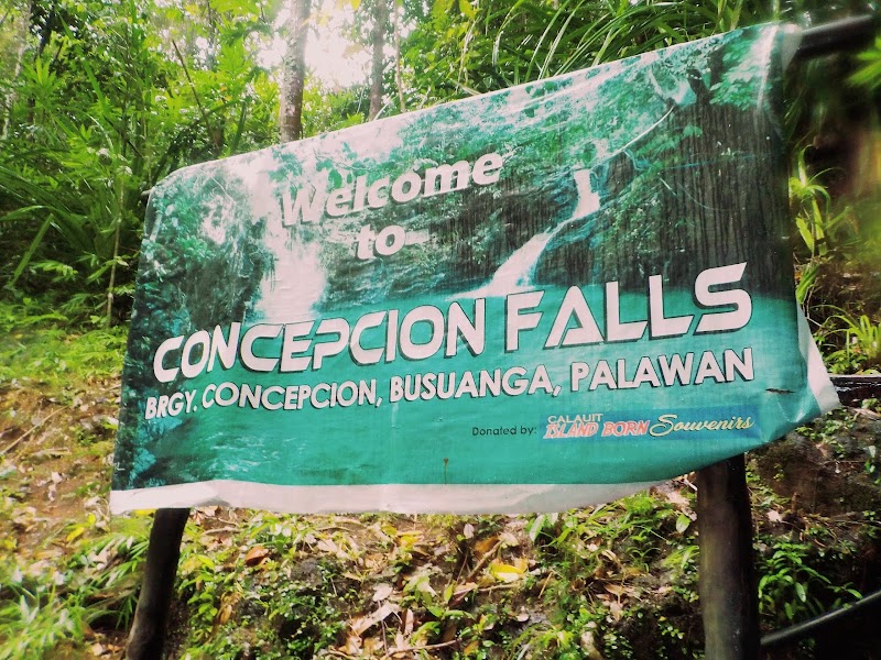 Concepcion Falls - Concepcion Falls 3X4G+8MJ, Busuanga, Palawan, Philippines
