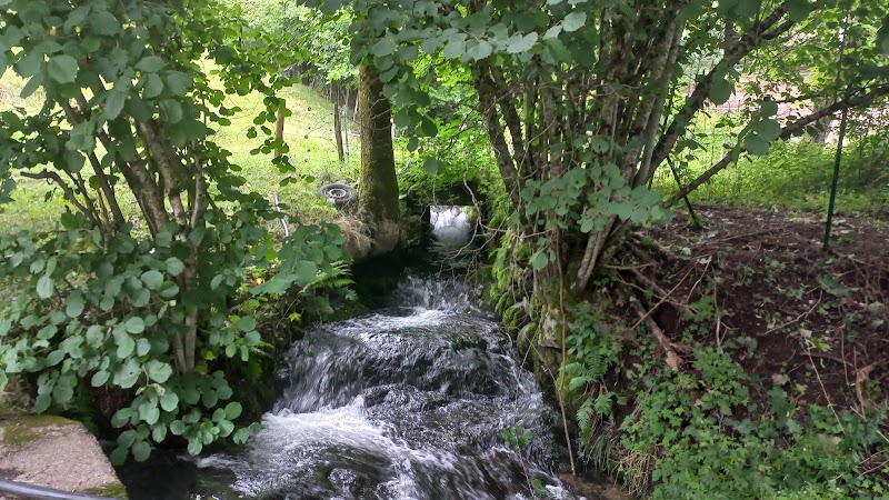 Source of the Moselle - Source of the Moselle, Rte des Sources, 88540 Bussang, France