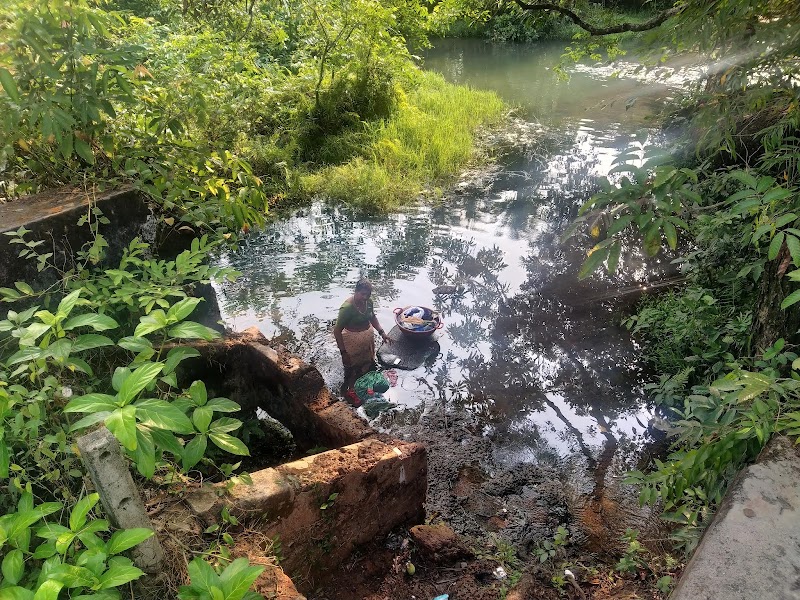 Zariwada Spring Cortali - Zariwada Spring Cortali 647V+QGF, Kotarli, Goa 403704, India