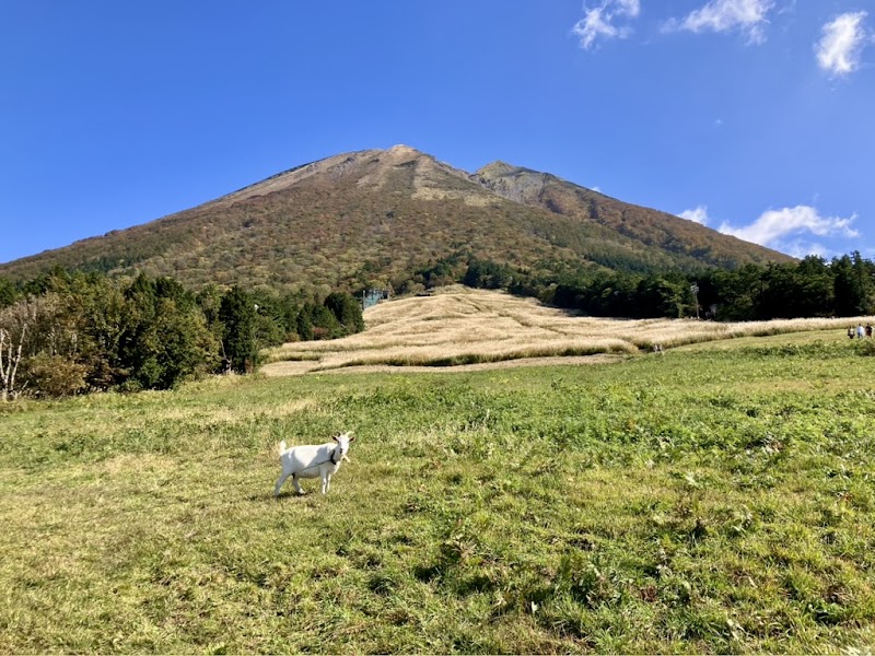 Daisen Masumizu Highland Snow Park - Daisen Masumizu Highland Snow Park, 西伯郡伯耆町大内 桝水高原, 1069-50 Ōuchi, Hoki, Saihaku District, Tottori 689-4215, Japan
