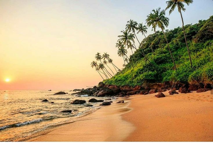 Goa thrill Holidays - Goa thrill Holidays Shop No 5, Regalia Plaza, opp. Trijays Villa Naika Vaddo, Calangute, Goa 403516, India