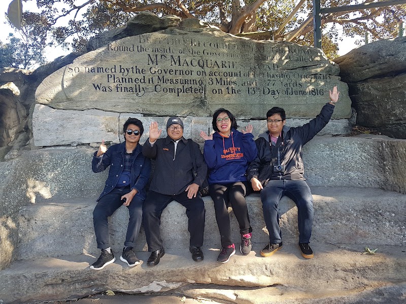 Mrs Macquaries Road - Mrs Macquaries Road, Mrs Macquaries Rd, Sydney NSW 2000, Australia