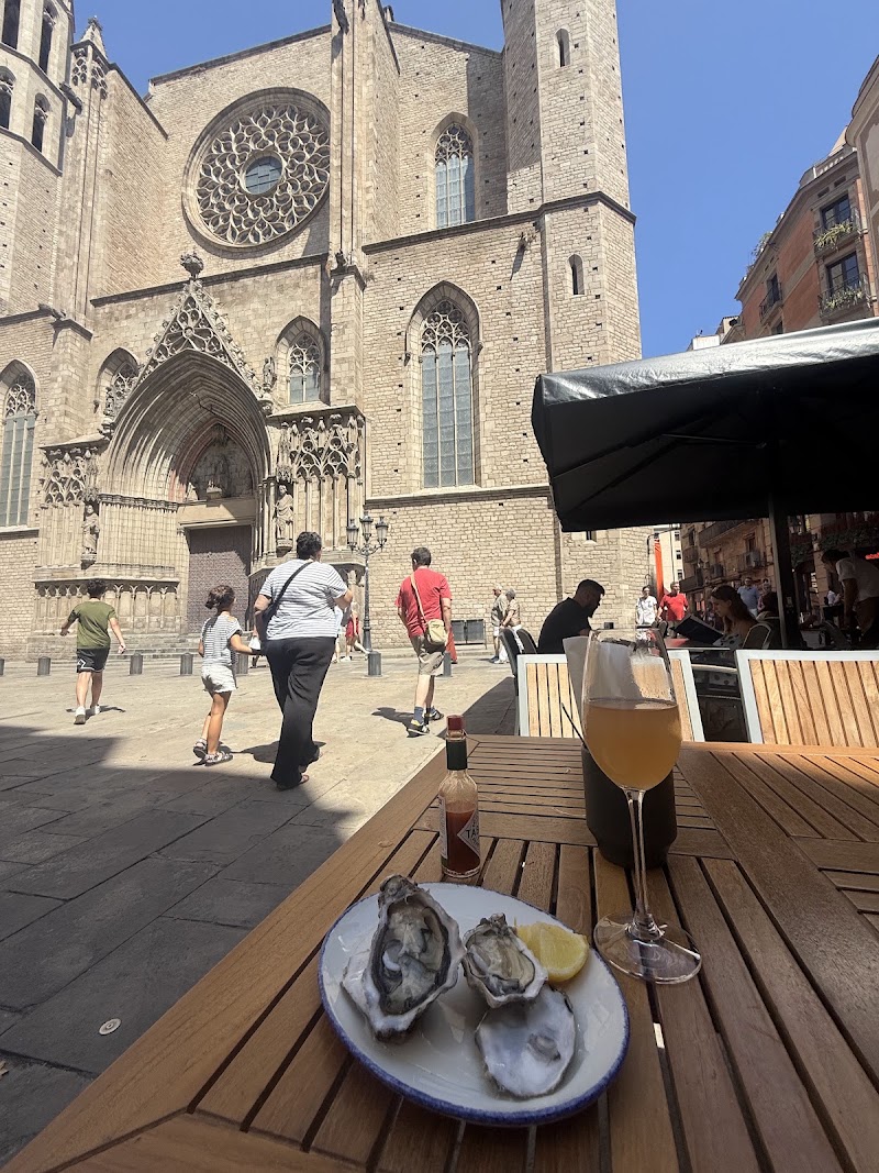 La Vinya del Senyor - La Vinya del Senyor Plaça de Santa Maria, 5, Ciutat Vella, 08003 Barcelona, Spain