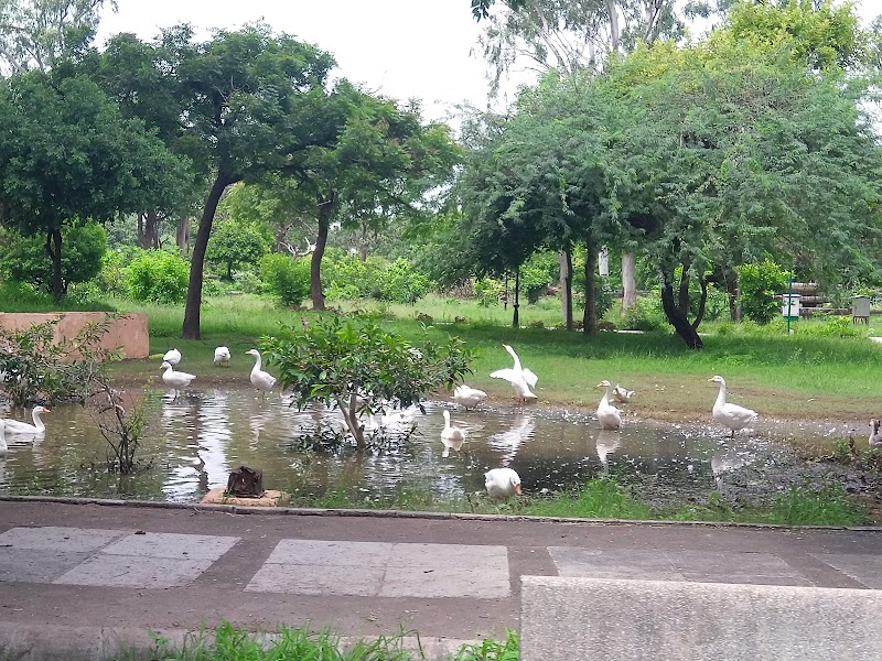 Chatra Vilas Garden (c.v. garden) - Chatra Vilas Garden (c.v. garden) 5VR3+436, Sarovar Rd, Chatra Vilas Garden, Nayapura, Kota, Rajasthan 324001, India