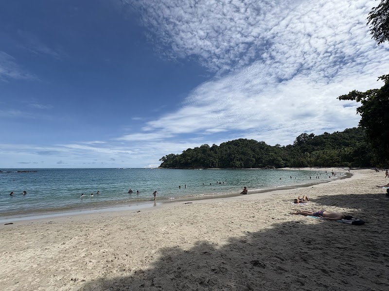 Manuel Antonio Nature Reserve & Wildlife Refuge - Manuel Antonio Nature Reserve & Wildlife Refuge, 9VR3+9WW Hotel Si Como No, Provincia de Puntarenas, Quepos, Costa Rica