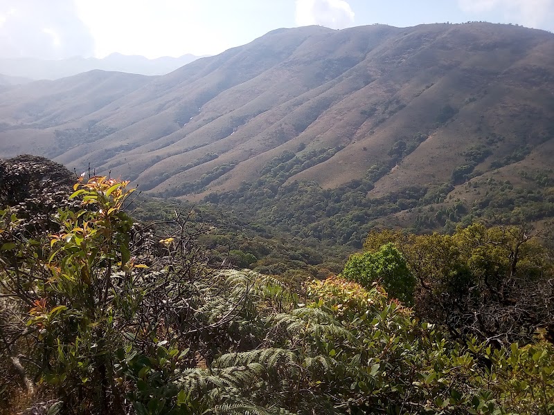 Mukurthi National Park - Mukurthi National Park Nilgiri hills, Mulligoor, Tamil Nadu 643219, India