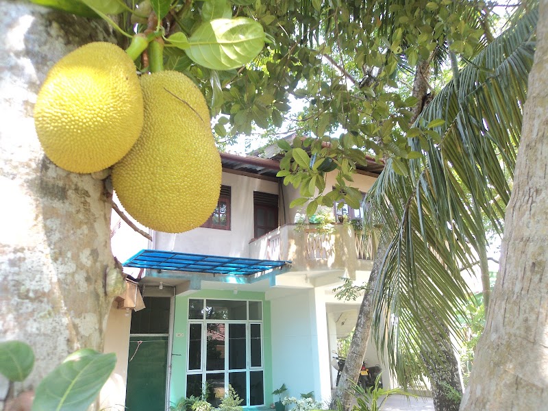 Sheru Guest - (Foreigners only) - Sheru Guest - (Foreigners only), No 59/B Paramulla Cross Rd, Matara, Sri Lanka