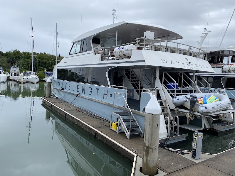 Wavelength Reef Cruises - Wavelength Reef Cruises Shop 6/43-47 Macrossan St, Port Douglas QLD 4877, Australia